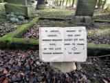 image of grave number 732691